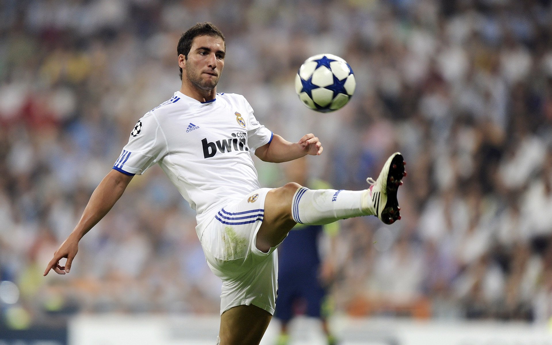 开云体育-欧洲杯入围球队的备战营地揭晓，条件一流，欧洲杯24支球队是怎么入围的